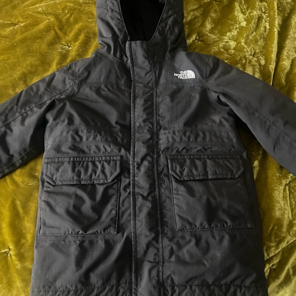 The North Face Black Puffer Jacket with Hood